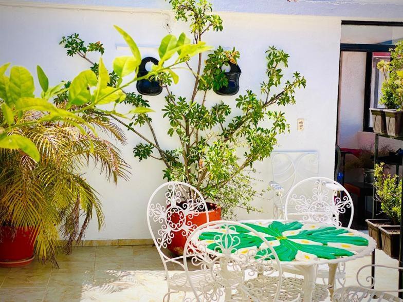 Casa Mexicana Hotel Guanajuato Eksteriør billede